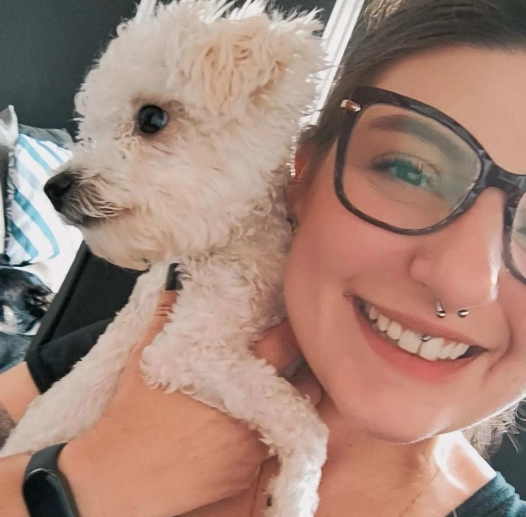 cachorro na praia